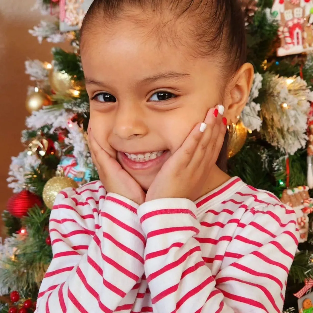 12 Days of Christmas Set