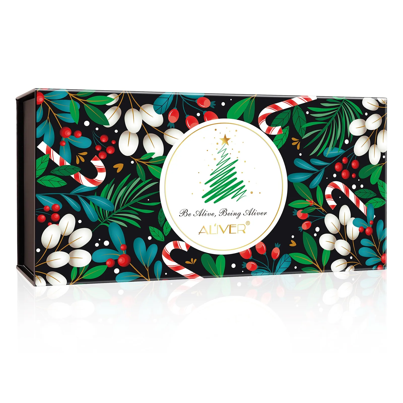 Aliver Chirstmas Nail Box
