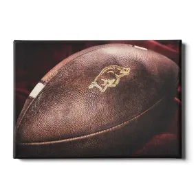 Arkansas Razorbacks - Arkansas Football