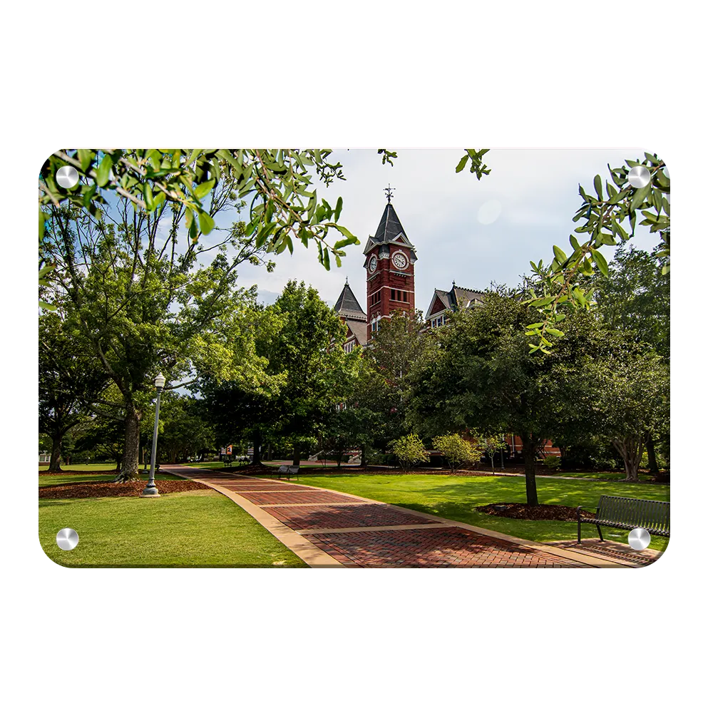 Auburn Tigers - The Walk to Samford