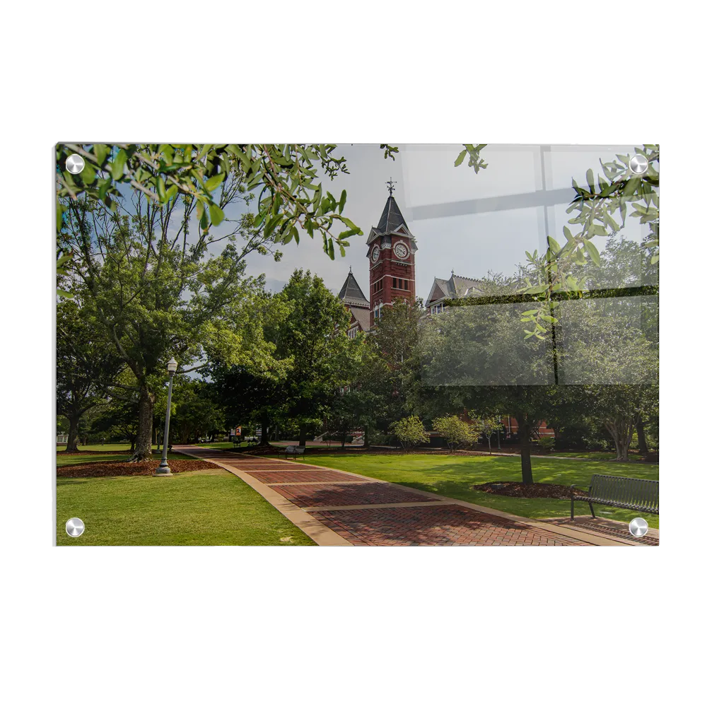 Auburn Tigers - The Walk to Samford