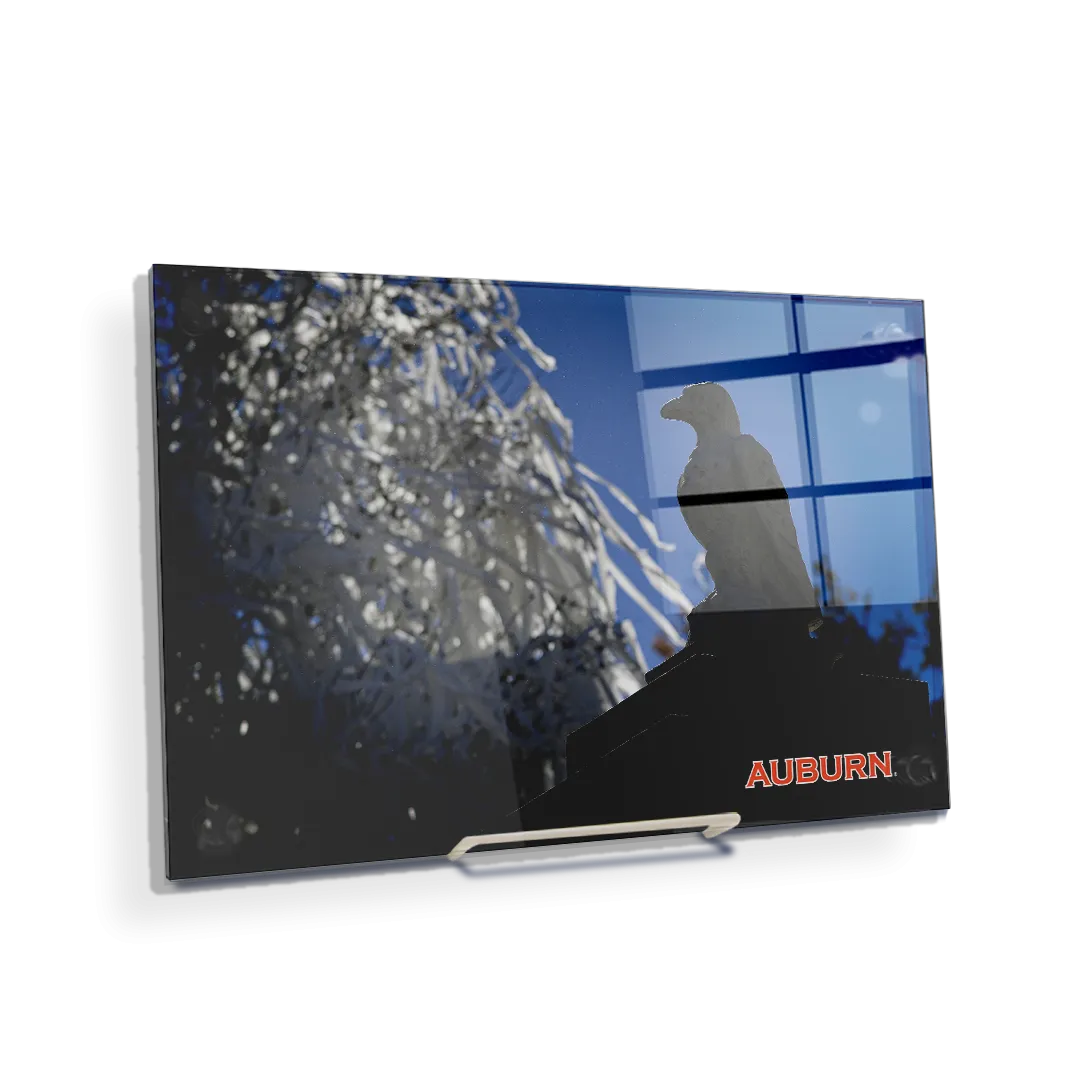 Auburn Tigers - Watchful Eye Toomers