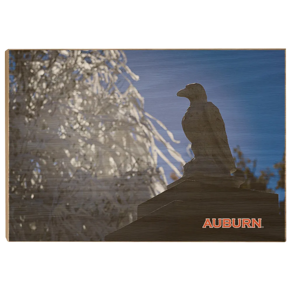 Auburn Tigers - Watchful Eye Toomers