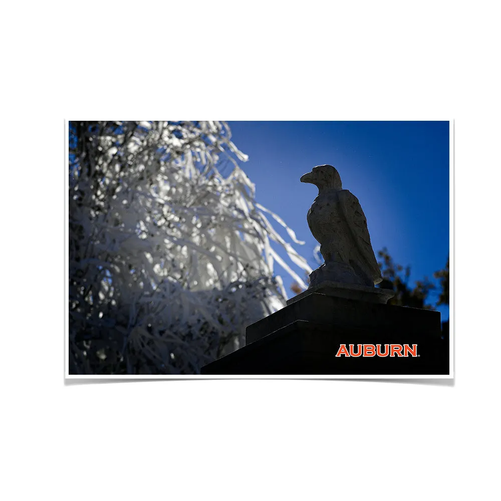 Auburn Tigers - Watchful Eye Toomers
