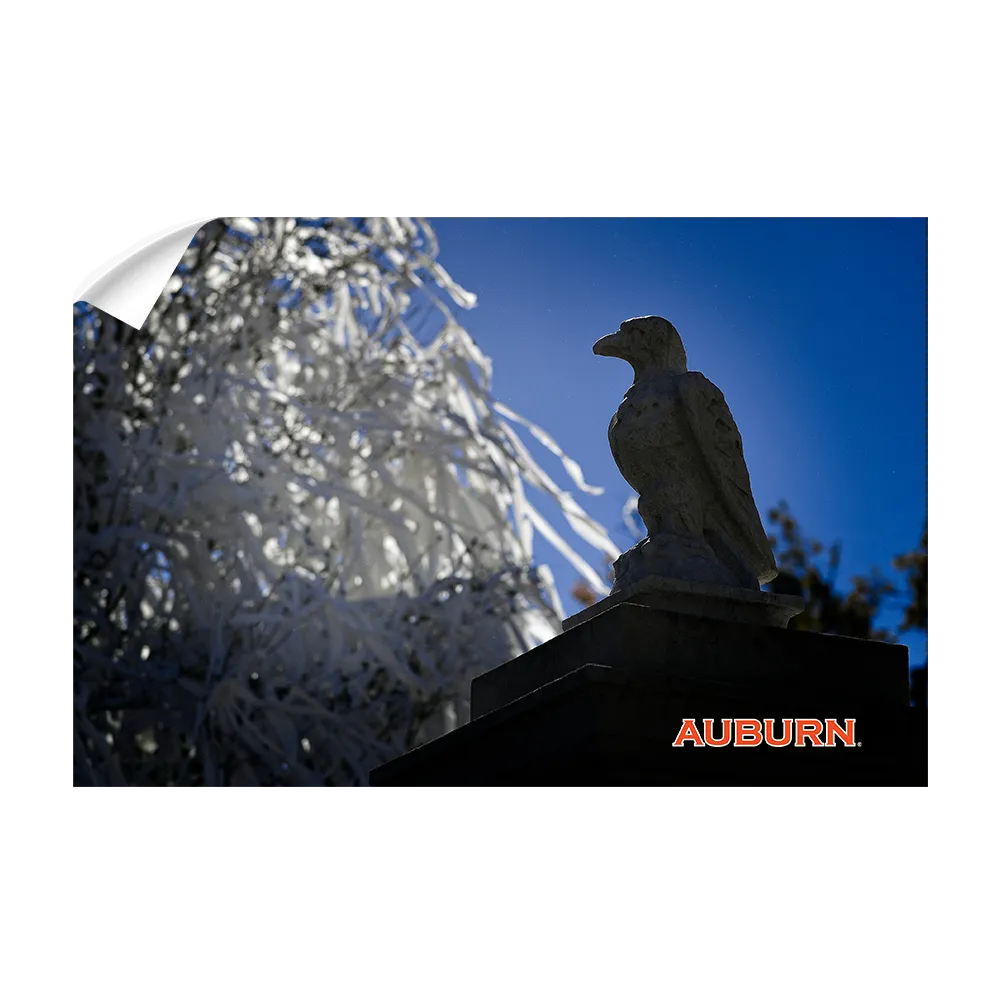 Auburn Tigers - Watchful Eye Toomers