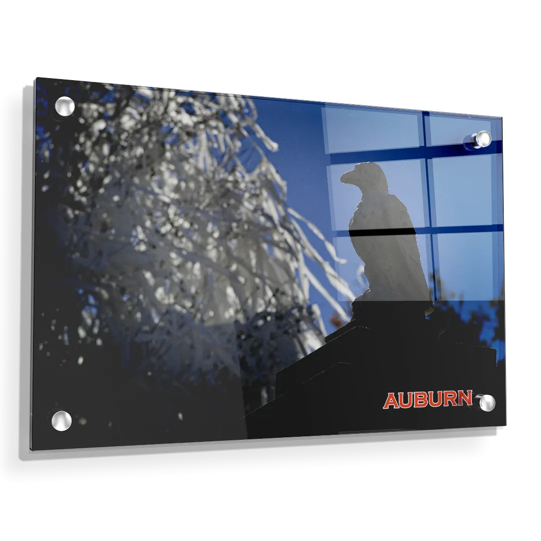 Auburn Tigers - Watchful Eye Toomers