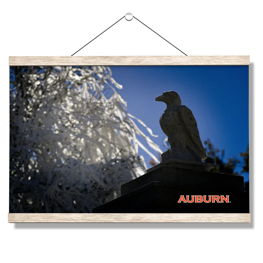 Auburn Tigers - Watchful Eye Toomers