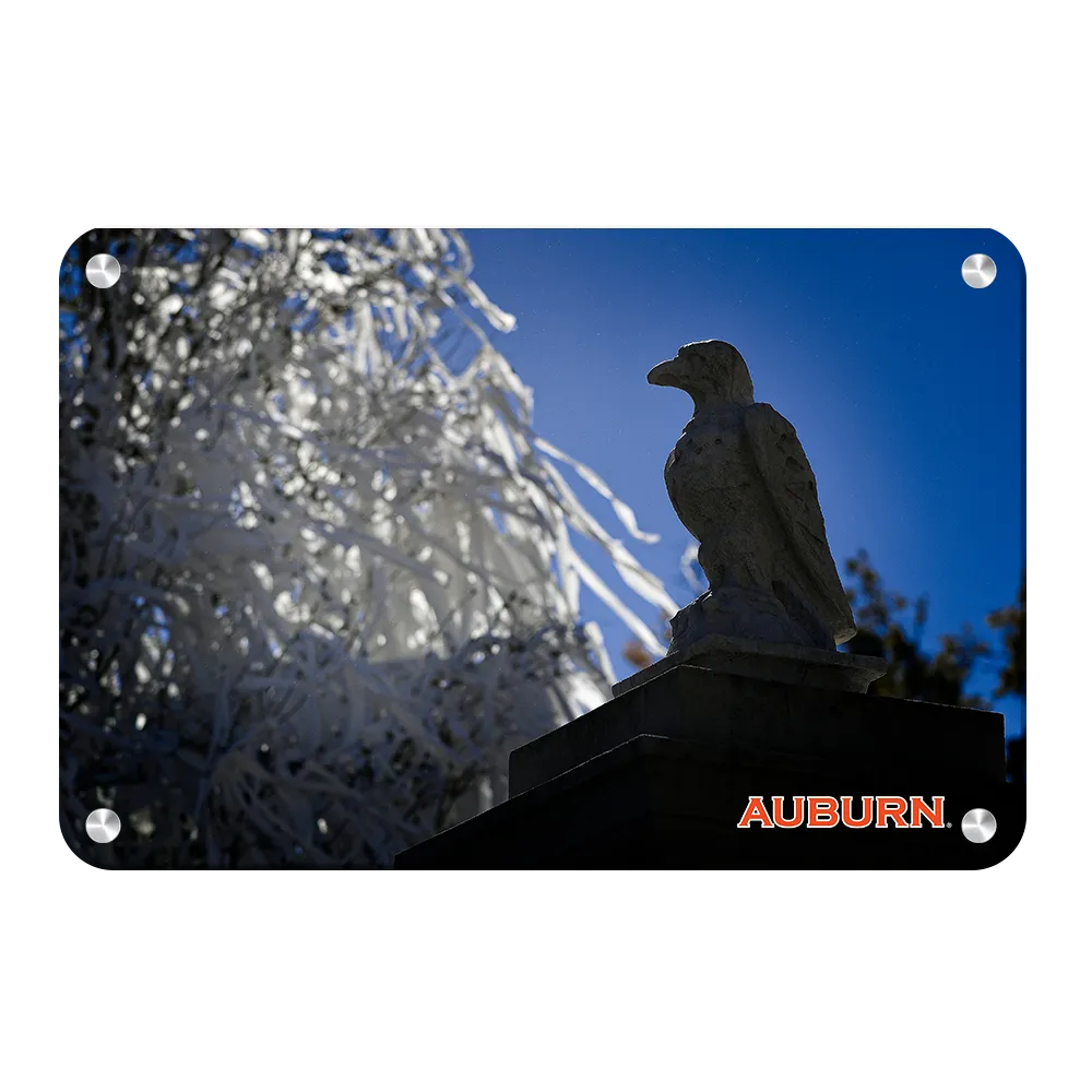 Auburn Tigers - Watchful Eye Toomers