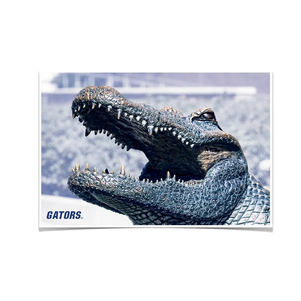 Florida Gators - Bull Gator Up Close