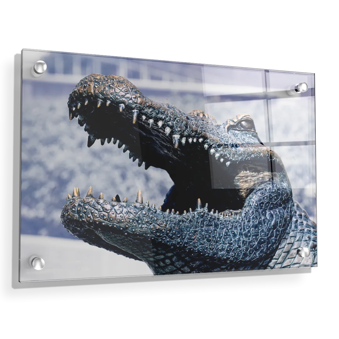 Florida Gators - Bull Gator Up Close