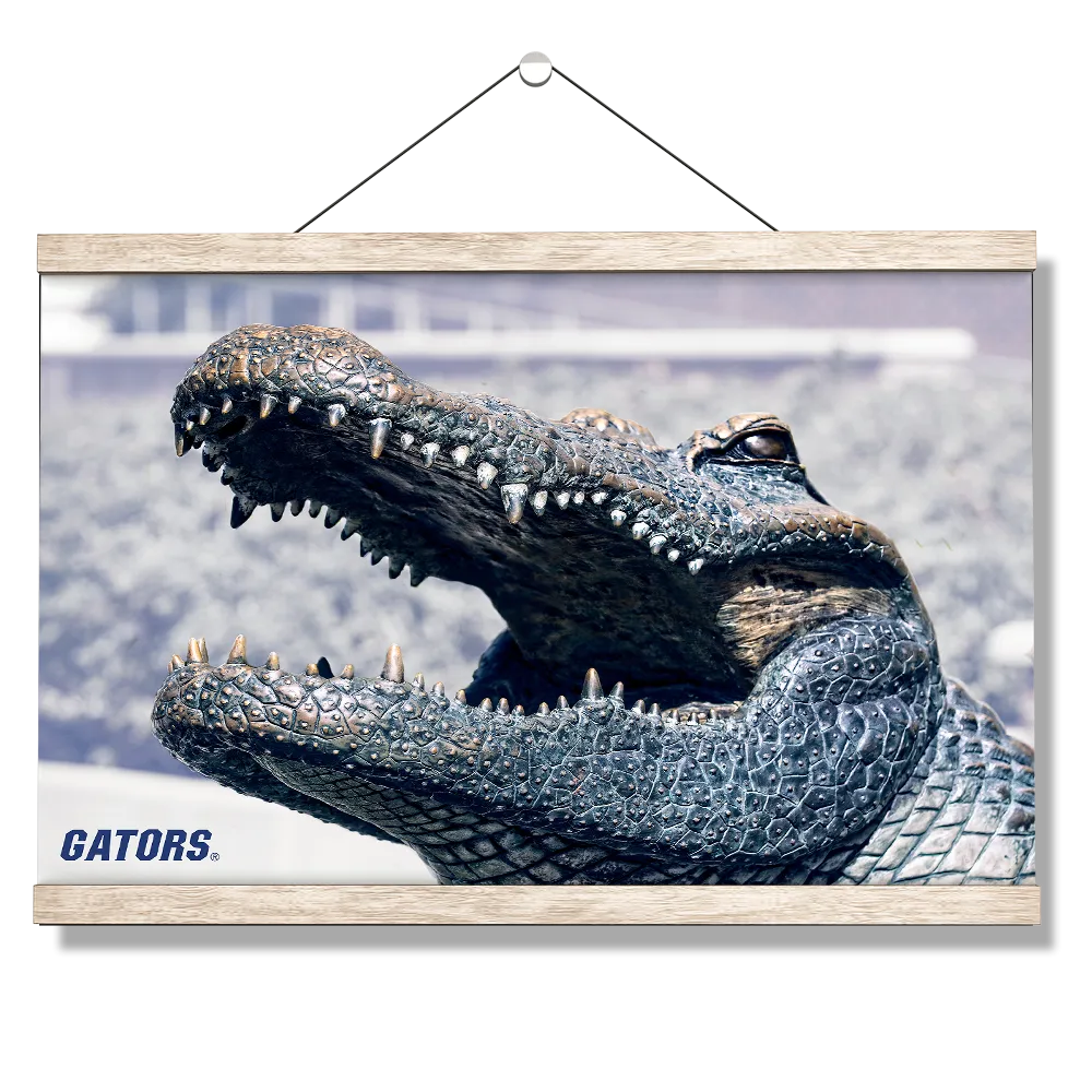 Florida Gators - Bull Gator Up Close