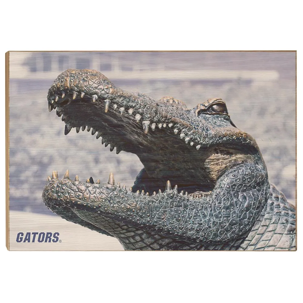 Florida Gators - Bull Gator Up Close