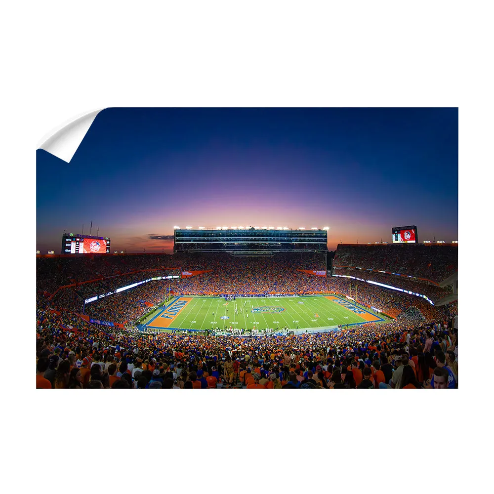 Florida Gators - Swamp Sunset