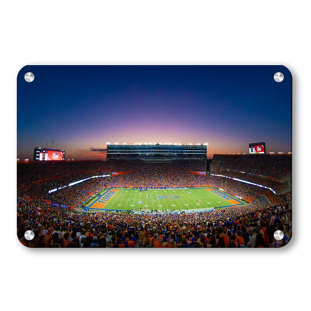 Florida Gators - Swamp Sunset