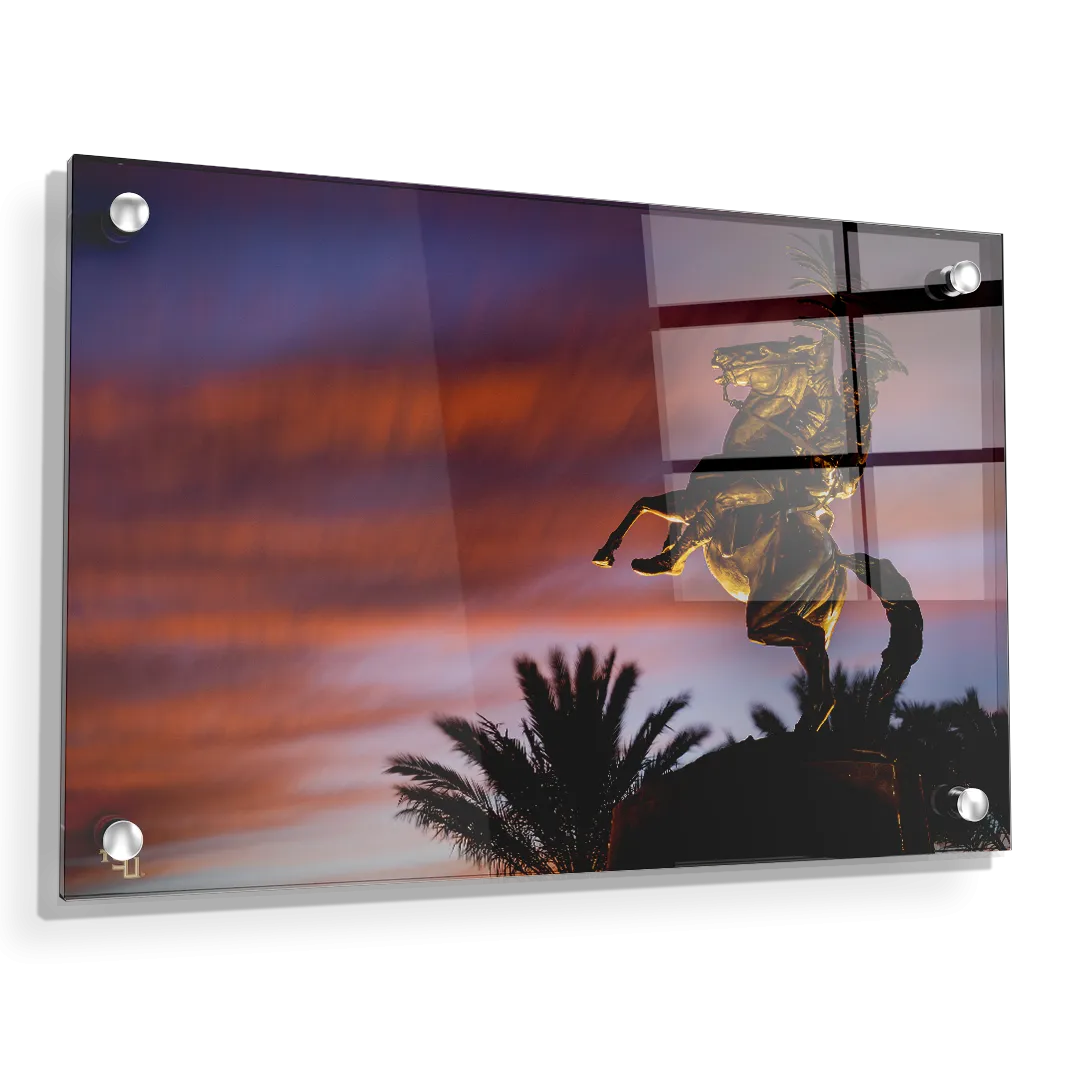 Florida State Seminoles - Osceola Last Light