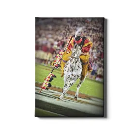 Florida State Seminoles - Osceola Spear