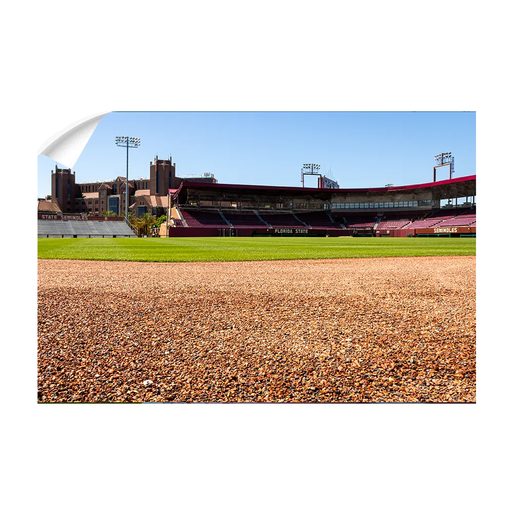 Florida State Seminoles - Spring and Fall
