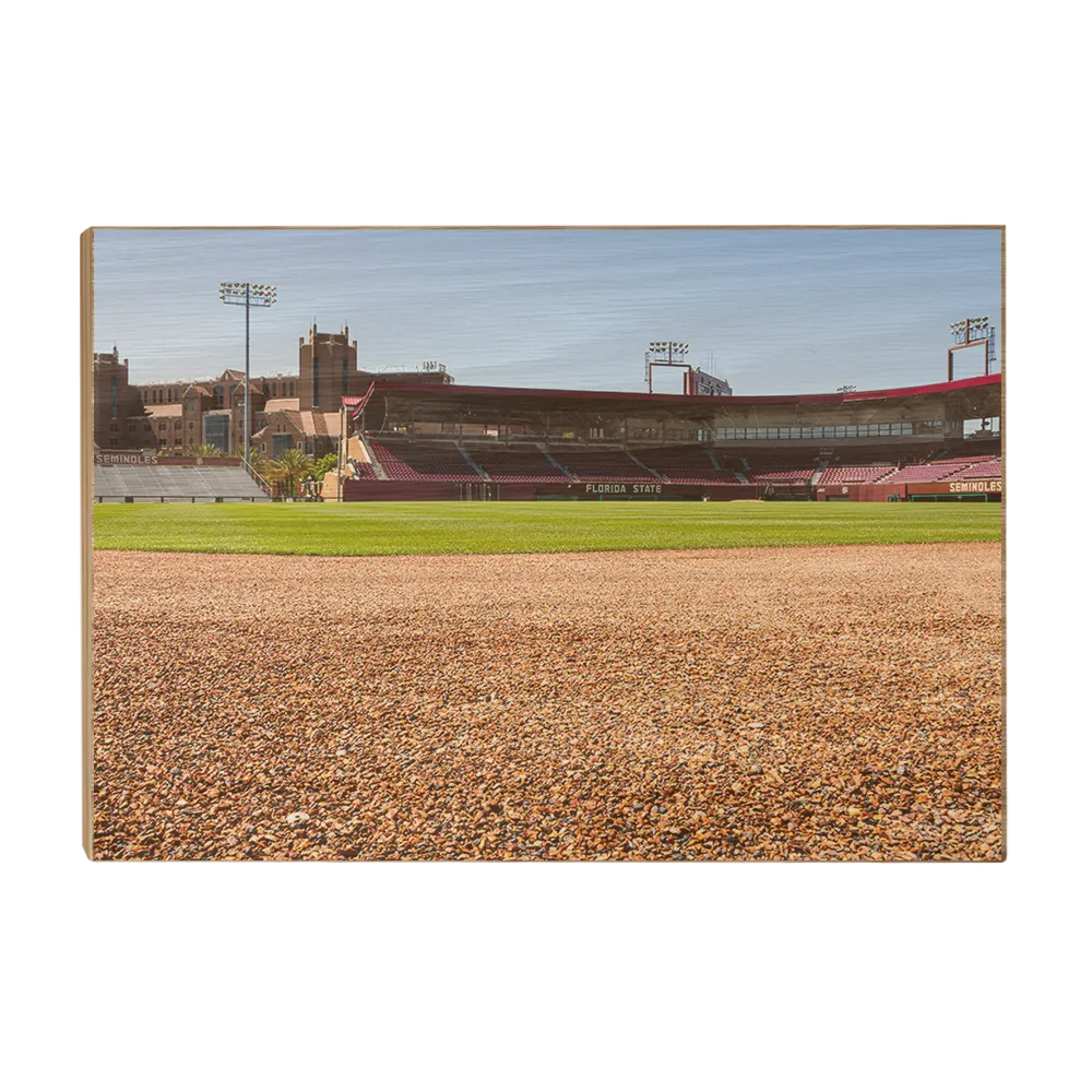 Florida State Seminoles - Spring and Fall